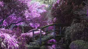 3 Hours Of Beautiful Relaxing Instrumental Music Study Relax Background 31 Youtube