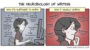 The Neurobiology Of Writing Scenario Buzz Neurobiologie Doctorat Humour