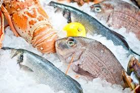 Lebih Sehat Makan Ikan Air Laut Atau Ikan Air Tawar Makanan Ikan Ikan Air Tawar Air Tawar