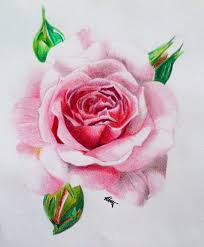 Jual lukisan bunga mawar rose flower painting 80x60 kanvas saja. Lukisan Bunga Ros Cikimm Com
