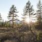 Harney County Forest Restoration Collaborative Meeting