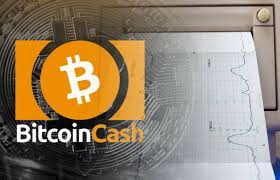 Our online guides cover everything crypto, from getting starting to trading efficiently. Dash Stress Test Hits 3 Million Transactions Surpasses Ethereum Eth Xrp And Bitcoin Cash Bch All Time High Transactions Blockboard