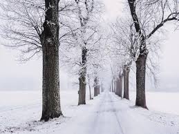 Nieve — sustantivo femenino 1. Que Significa Sonar Con Nieve Heraldo Es