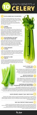 Benefits Of Celery Nutrition Facts And Recipes Health