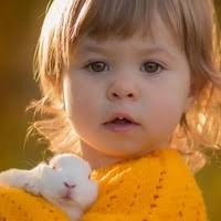 50+ "Glen Wolf" profiles