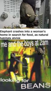A reinterpretation/retelling of a fresh meme from the beans' point of view. The Best Me And The Boys Memes Memedroid