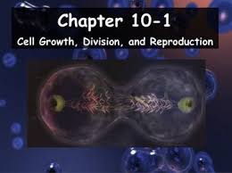 Biology 10 1 Cell Growth Division And Reproduction Ppt And Guided Notes Cell Growth Guided Notes Biology Textbook