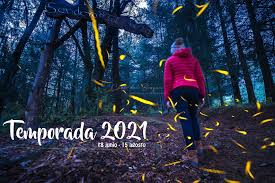 Entre los meses de junio y agosto, en tlaxcala, es posible apreciar un espectáculo de luz y magia, gracias a las luciérnagas o bichos de luz son una especie de la familia de los lampíridos que se. Temporada Luciernagas 2021 Es Para Nosotros Motivo De Alegria Presentar Nuestras Fechas Y Paquetes De Visita Que Estaremos Ofreciendo A Todos Ustedes La Proxima Temporada De Luciernagas 2021 Faltan 6