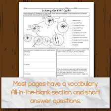 _animal cells form a cleavage furrow. Cell Division Homework Pages
