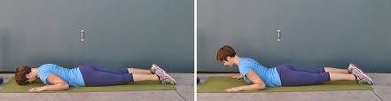 Lower back pain is very popular disease for the adults and it is caused by injury, muscle strain or over use. 13 Stretches For Lower Back Pain