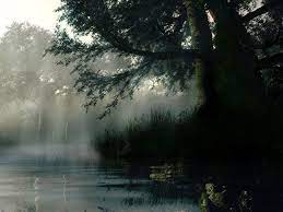Beautiful Rain Paintings Related Posts Rain Quotes And Wallpapers Rain Cover Photos For Rain Wallpapers Photography Inspiration Nature Rainy Day Wallpaper