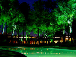 Tree Lighting Illuminations Lighting Design