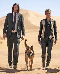 With a $14 million bounty on his head, elite hitman john wick must battle every killer in his path to reach old allies and redeem his life. Halle Berry Hartes Training Fur John Wick 3