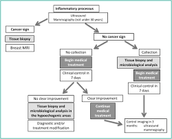 Breast discoloration an early sign of inflammatory breast cancer is discoloration of the breast. Inflammatory Breast Disease The Radiologist S Role Sciencedirect