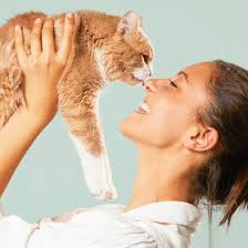 NORMANDISE Pet Food : références, certifications et avis clients