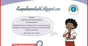 Keperluan rumah tangga, misalnya untuk minum, masak, mandi, cuci dan pekerjaan lainnya, keperluan umum. Kunci Jawaban Halaman 32 34 36 37 38 39 Tema 3 Kelas 4 Buku Tematik Siswa Kumpulan Soal Ujian