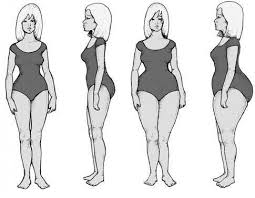 Gynaeoid Body Type Thyroid Body Type Body Type Diet Body Types Women