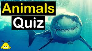 It's actually very easy if you've seen every movie (but you probably haven't). Play Animal Quiz Video Epic Animal Kingdom Trivia Quiz Beez