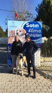 Barinak Aydin On Twitter Efeler Evcil Hayvan Bakim Besleme Ve Rehabilitasyon Merkezinden Remzi Celebi Ye Sahiplendirildi Satinalmasahiplen Https T Co D5xyd4cdow