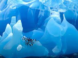 20 Photos That Will Make You Want to Visit Antarctica | Condé Nast Traveler