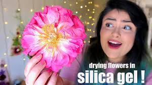 There are several methods to preserve corsages and boutonnieres. Drying Real Flowers In Silica Gel Youtube