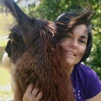 50+ Profile mit dem Suchbegriff „Bert“