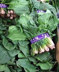 八百屋塾 ほうれん草 クサマヒサコの野菜ノート