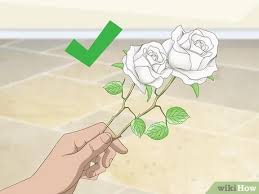Check spelling or type a new query. 3 Cara Untuk Mewarnai Mawar Wikihow