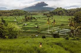 Parkir kendaraannya pun juga standar. Bukit Cinta