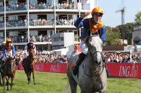 Waregem koerse is een reeks van paardenwedrennen in de belgische stad waregem. Pas Op 1 September Maar Zo Goed Als Zeker Geen Waregem Koerse Kw Be