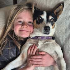 🐾 International Dog Day Fun! 🐾 Even though 23 August has passed, our  Primary School learners made sure International Dog Day didn't go  unnoticed! 💙 They shared adorable pics with their furry