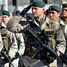 Ver más ideas sobre ejercito argentino, ejercito, guerra de malvinas. File Ejercito Argentino Jpg Wikipedia