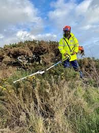 Hedge cutting, hedge trimming, hedge pruning. Dromad Hire Access Platform Hire Specialists General Plant Tool Rental Used Equipment Sales Spider Lift Hire Nationwide Coverage Dublin Cork Belfast