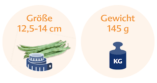 Ssw 18 Das Passiert In Der 18 Schwangerschaftswoche Hipp