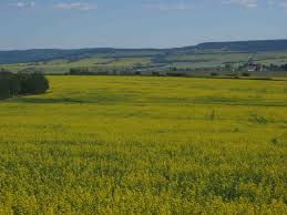 northern bc 2012 « Andrew Scott