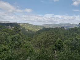 Amamos esta parte de nuestro...