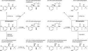 bupropion wikipedia