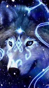 103 13 wolf porträt predator. Wallpapers Cute Animal Drawings Wolf Spirit Animal Beautiful Wolves