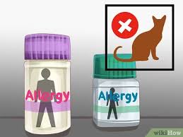To do that, you need immunotherapy, which is given as shots in an allergist's office. How To Diagnose Seasonal Allergies In Cats With Pictures