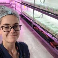 90+ "Kilbride" profiles