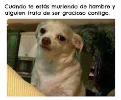 How To Learn Spanish Using Funny Memes Spanish Classes London Spanish Courses London Stripey Spanish
