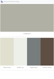 Fieldstone Polar Frost White Ice Steel Wool French Press Exterior Paint Paint Colors Benjamin Moore Paint Color Palettes
