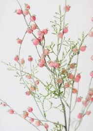 Vase arrangement with statice filler. 22 Filler Flowers For Bouquets Centerpieces Ideas Flowers Wedding Flowers Flower Arrangements