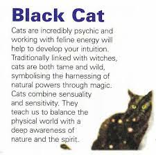 Black Cats Cat Spirit Animal Totem Spirit Guides Cat Spirit Animal