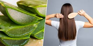Apart from genetics, it can also be a result of poor nutrition and poor quality products. Easy Ways To Use Aloe Vera For Quick Hair Growth