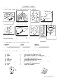 Spinal cord wants to encourage researchers to consider conducting systematic reviews or narrative reviews and welcomes these submissions. Internal Organs English Esl Worksheets For Distance Learning And Physical Classrooms