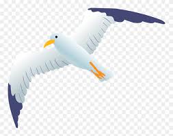 Albatrosses are one of the largest flying birds that exist today. Sea Gull Clipart Albatross Png Download 5615573 Pinclipart