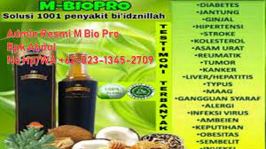 Agen Resmi Hp Wa 62 823 1345 2709 Agen M Biopro Asli Dan Palsu Herbal Fermentasi Herbal Alami