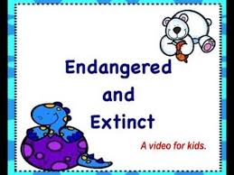 Pin On 1st Grade Endangered Animals