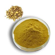 Expert in Plant Extracts - Hangzhou Green Sky China Baicalin Extract  Manufacturer and Exporter